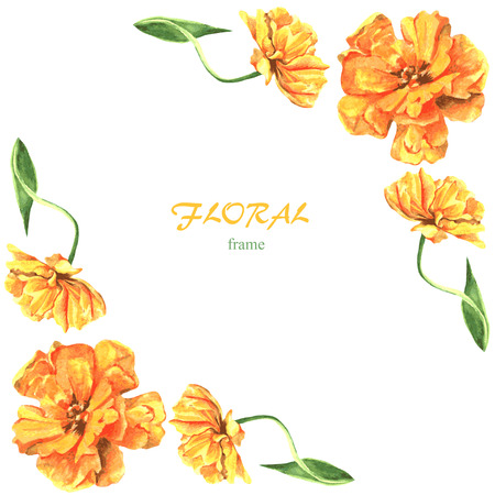 floral frame with watercolor drawing tulips, hand drawn vector illustrationのイラスト素材