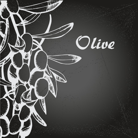 Vector sketch of olive tree branch. for designのイラスト素材