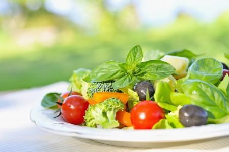 Salad of cheese and vegetablesの写真素材