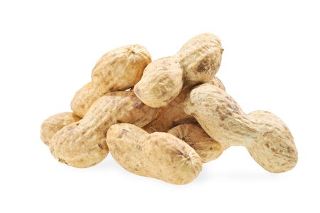 Peanutの写真素材