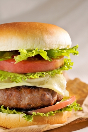Cheeseburgerの写真素材