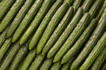 Cucumberの写真素材