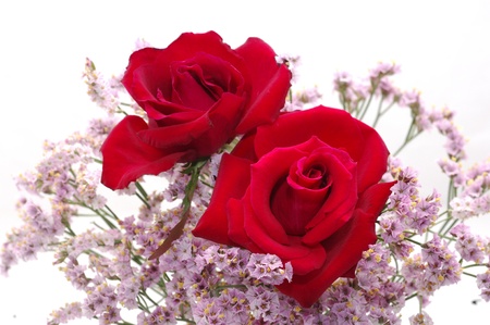 Bouquet of rosesの写真素材