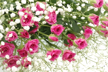 Bouquet of rosesの写真素材