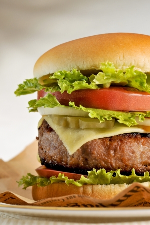 Cheeseburgerの写真素材