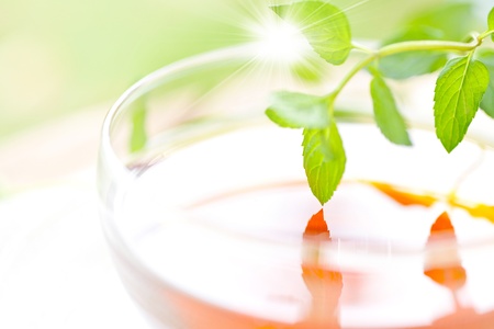 Herbal teaの写真素材