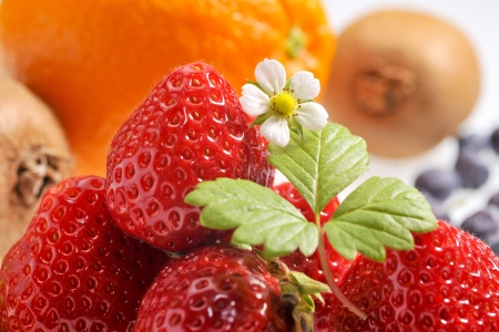 Strawberryの写真素材
