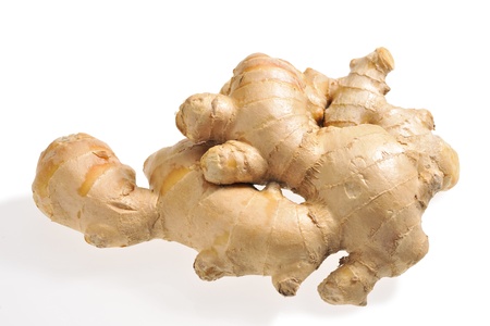 Gingerの写真素材