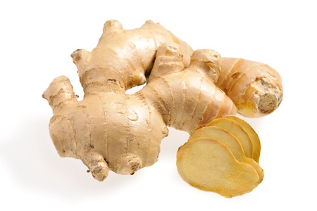 Gingerの写真素材