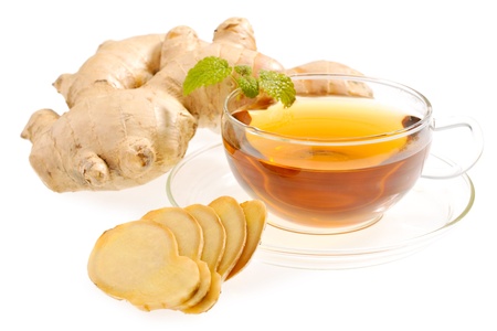 Gingerの写真素材