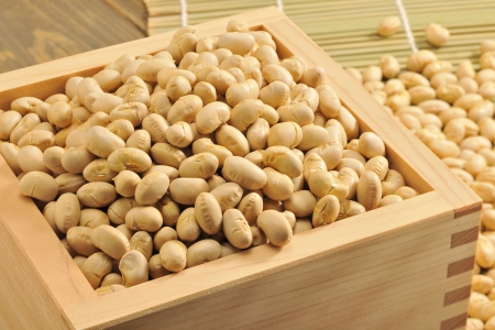 Soybeanの写真素材