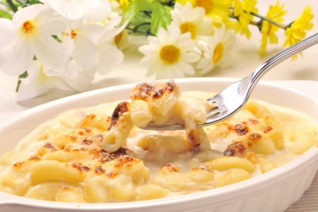 pasta gratinの写真素材