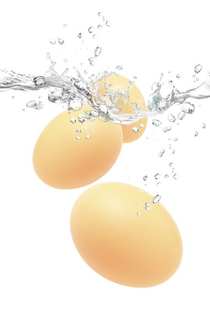Eggsの写真素材