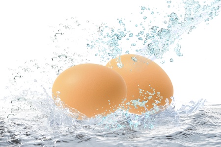 Eggの写真素材
