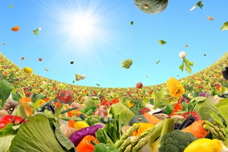 Fresh vegetablesの写真素材