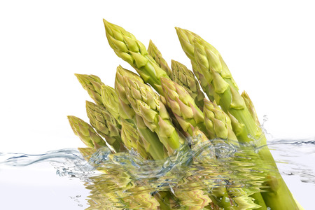 Asparagusの写真素材