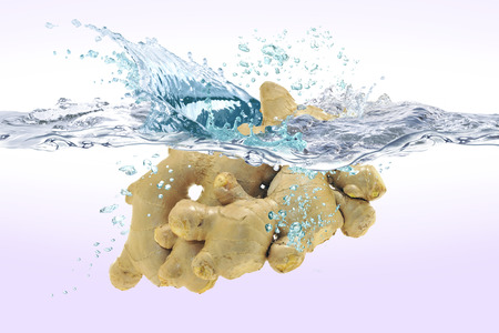 Ginger in the waterの写真素材