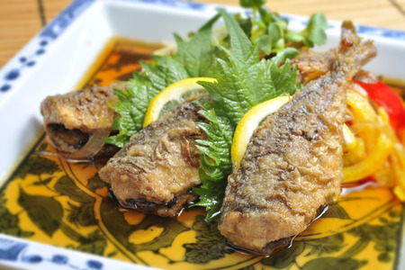 fish dishesの写真素材