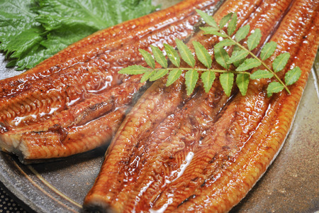 Grilled eelの写真素材