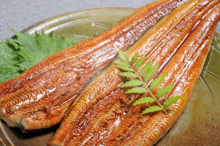 Grilled eelの写真素材