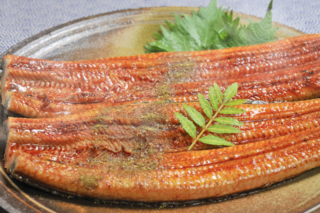 Grilled eelの写真素材