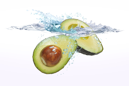 avocadoの写真素材