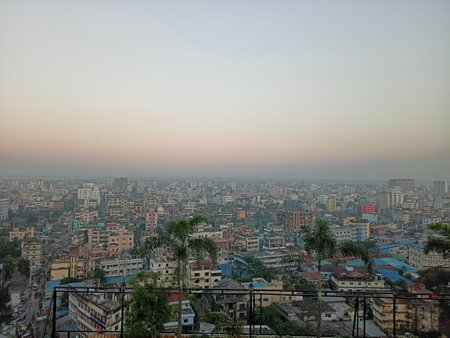 A sweeping high-angle perspective of an expansive urban landscape under a soft, hazy sky. The foreground features palm trees and a balcony railing, overlooking a dense network of multi-story residential buildings reaching toward a distant, flat horizon.の写真素材