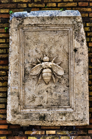 Stone frame with bee representationの写真素材
