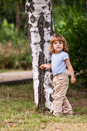 Beautiful little girl playing with sticks in the park, near a birch treeの写真素材