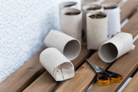Toilet paper roll recycled as a seedling plantersの写真素材