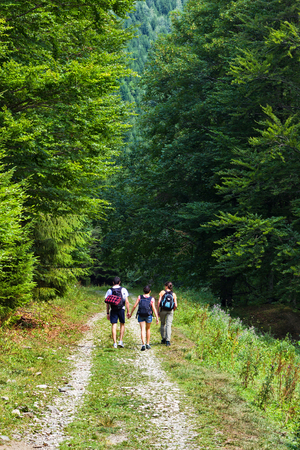 Young people on the forest road in the romanian mountainsの写真素材