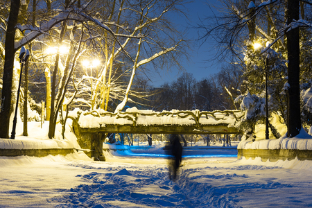 Night walk in in the vintage park of Herastrau Bucharest Romania in winterの写真素材