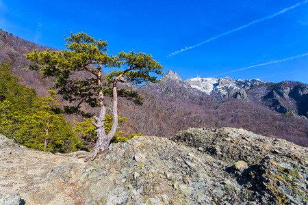 Mount Cozia in Vlacea county, Romania on a sunny dayの写真素材