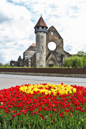 Cistercian order monastery abandoned in Carta, Sibiu county, in Romaniaの写真素材