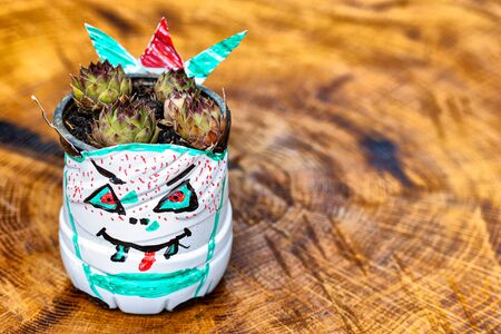 Upcycling PET ( plastic bottle) into planter. Kids fun and educativ activity during Covid19 lockdownの写真素材