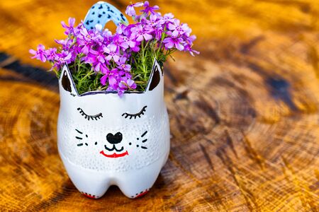 Upcycling PET ( plastic bottle) into kitty planter. Kids fun and educativ activity during Covid19 lockdownの写真素材