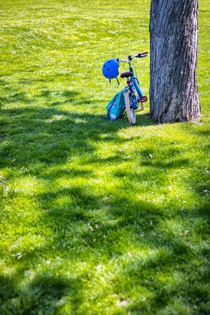 Blue little bicycle parked on an old tree in the parkの写真素材