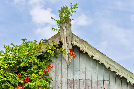 Beautiful wooden decoration on the traditional fronton house in Danube Delta regionの写真素材