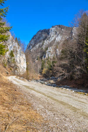 Cerna mountain valley, near Horezu town, in Valcea county, Romaniaの写真素材