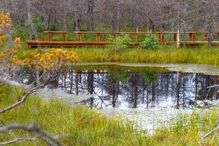 Mohos bog area in autumn with boardwalk and reflections in the water