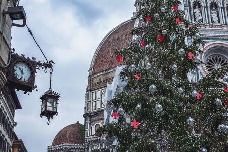Christmas tree in Florence, Christmas in Florence, Christmas tree, Florence main tree, Tuscany, Florence, Italyの写真素材