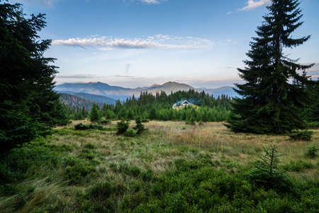 Foggy morning in the Carpathian mountains, Ukraine. Old wooden house in the mountains. Spruce forest...