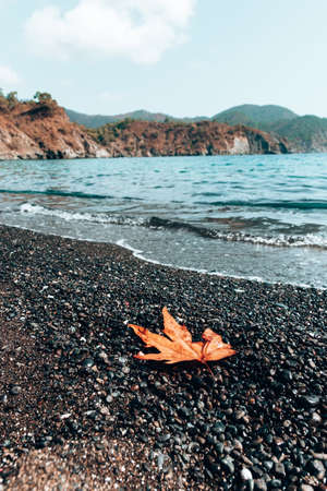 Autumn on the Mediterranean coast of Turkey. Warm, blue sea, rocky beach. Orange leaf lies on the beach. Landscapes of the Lycian Trail.の写真素材