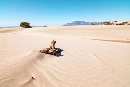 Scenic panorama with golden sand dunes lit by the rays of the setting sun and the blue mountains on the horizon. Travel destinations in Patara and Turkeyの写真素材