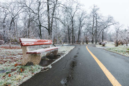 Snow-covered trees and benches in the city park. Sunsetの写真素材