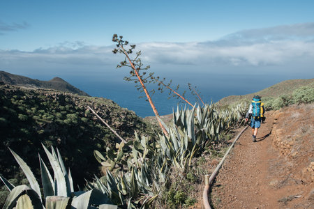 A young tourist on the volcano trekking trail at the Llano de Ucanca viewpoint in the Teide Natural Park in Tenerife, Canary Islandsの写真素材