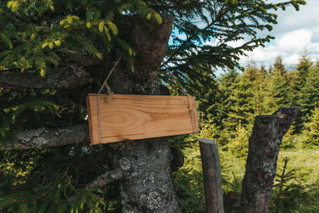 Old wooden signpost. Rustic wooden track pointer against blue sky. Blank sign boards in natureRustic...
