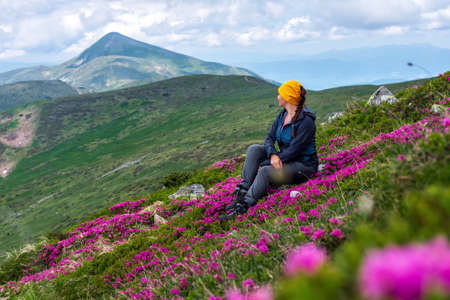 A hiker girl sits in the middle of a pink glade of rhododendrons. In the background is the highest mountain of Ukraine - Mount Hoverla. Ukrainian Carpathians in summer.の写真素材