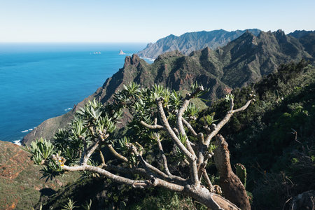 Landscape with north coast Anaga in Tenerife, Canary Islands, Spainの写真素材