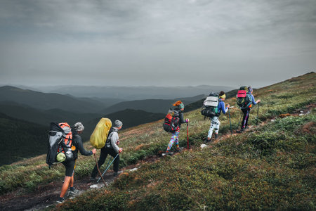 A group of tourists with backpacks walks along a hiking trail in the Ukrainian Carpathians. Climbing Hoverla Mountain. Hiking lifestyle.の写真素材